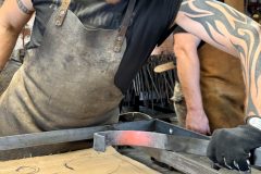 fg_kovari_v_DK_14-scaled